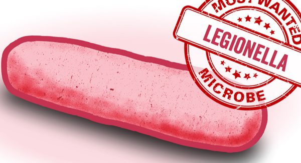 Legionella