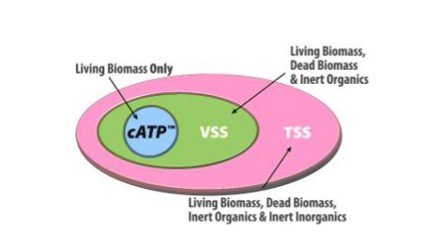 biomass population Table
