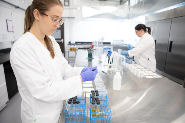 Team member running test in lab