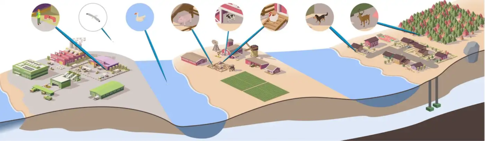 MST webinar image fecal sources