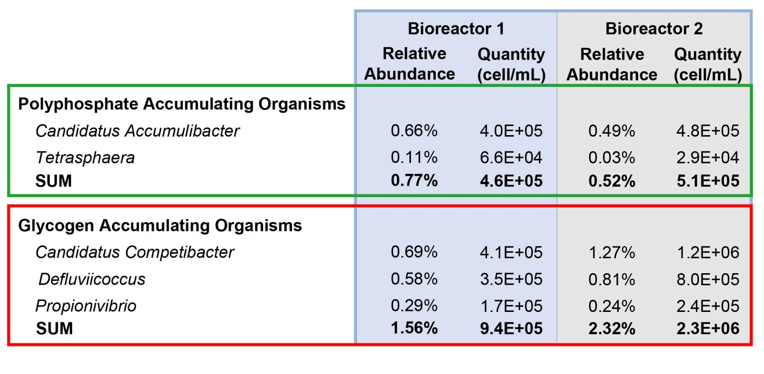 PAO and GAO in each bioreactor