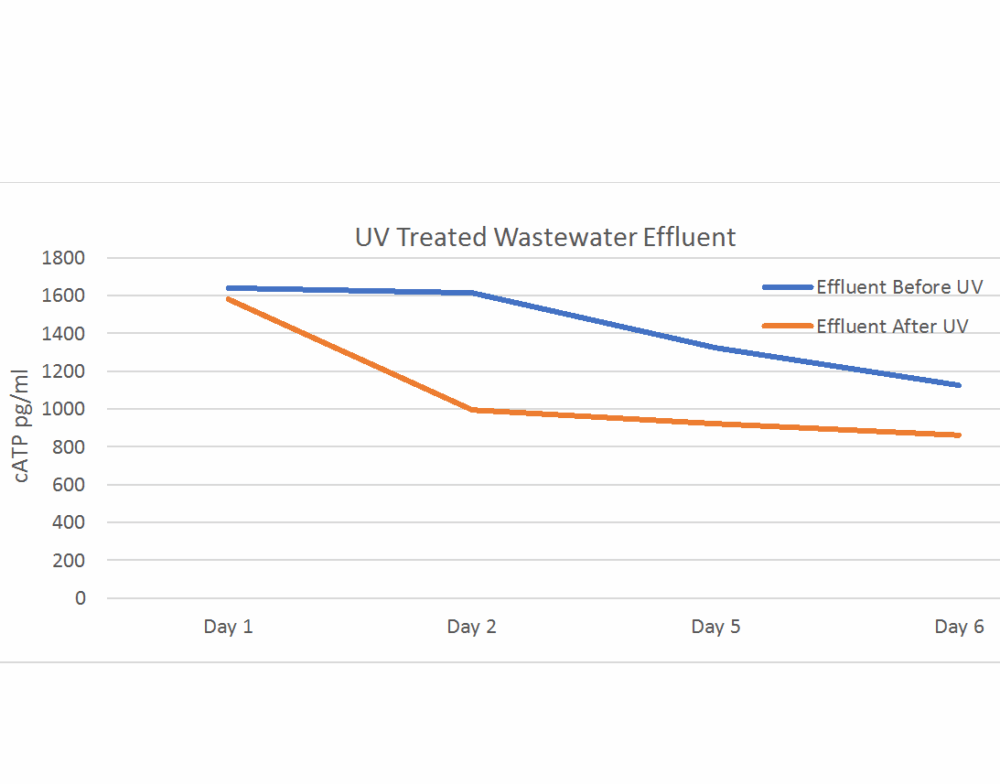 UV Treated Wastewater Effluent: decrease in ATP levels