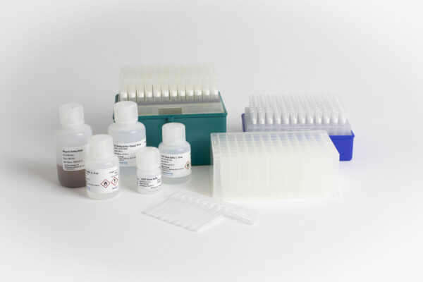 GeneCount® qKit Purify - Image 2