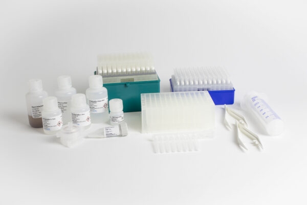 GeneCount® qKit Purify - Image 3