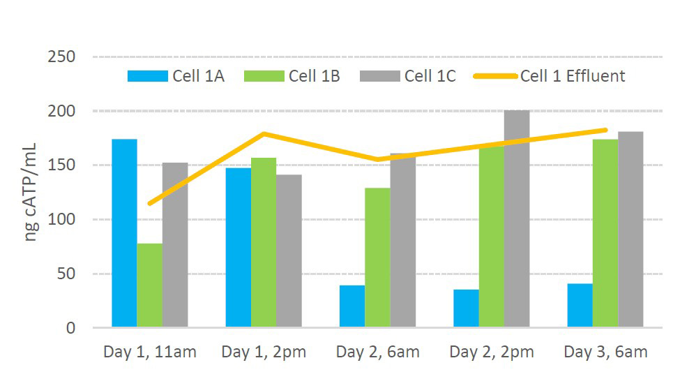 Cell 1 Biomass Distribution