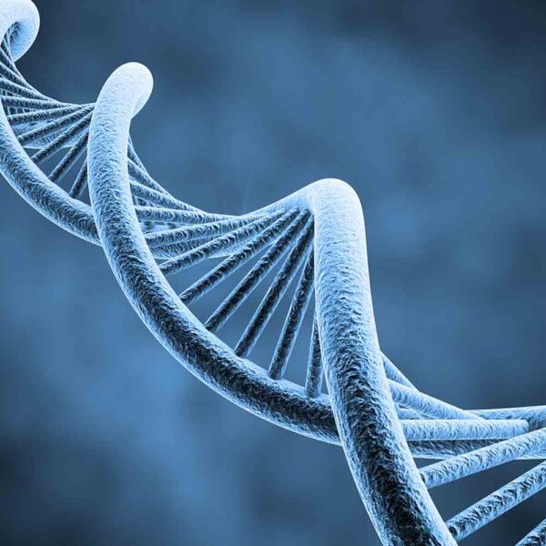 Next Generation Sequencing