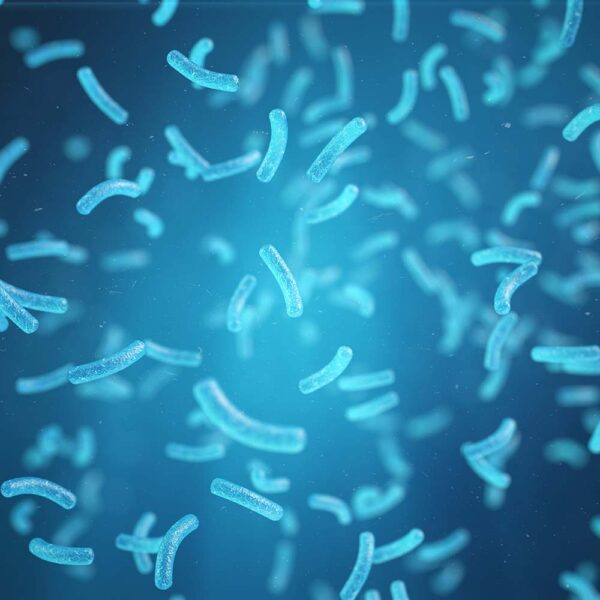 Pathogen Detection